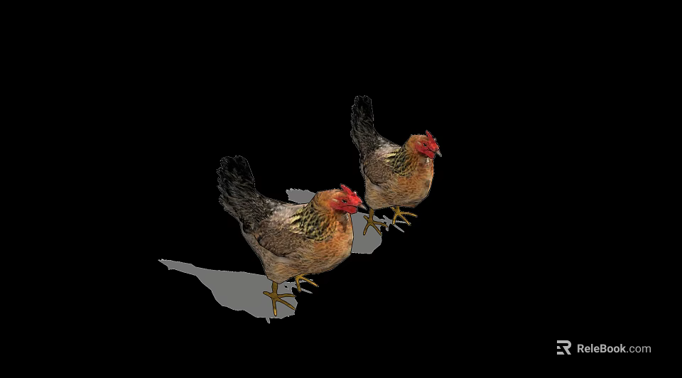 Two Brown Reptiles Standing On White Surface Against Black Background 3d model 