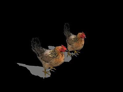 Two Brown Reptiles Standing On White Surface Against Black Background 3d model