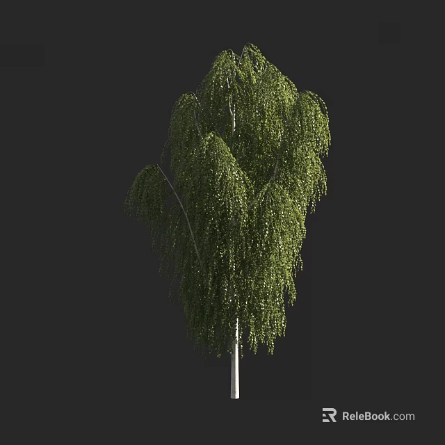 Weeping Willow Tree With Lush Green Drooping Branches And White Trunk 3d model 