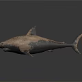 Grayish Brown Spotted Shark Model With Open Mouth Sharp Teeth On Dark Background With Reflection