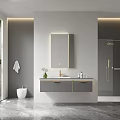 Modern Bathroom Vanity Cabinet With Mirror Countertop Faucet Green Plant And Recessed Lighting