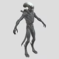 Sci Fi Alien Creature Character With Skeletal Mechanical Design Long Tail And Sharp Claws