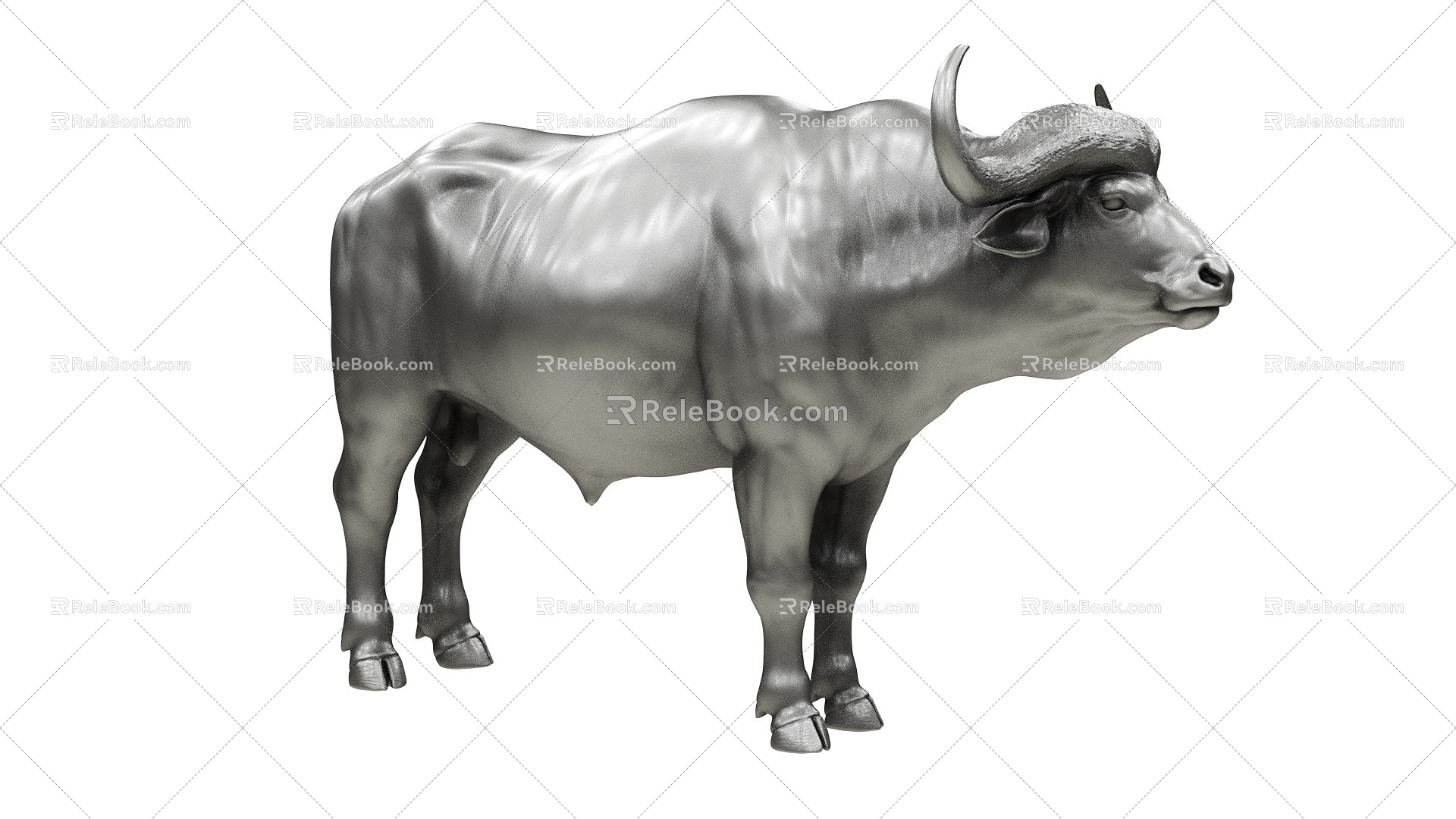 African Buffalo Buffalo Cow 3d model