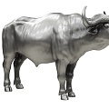 African Buffalo Buffalo Cow 3d model