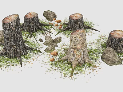 Lush Green Grass With Tree Stumps Stones And Mushrooms In Natural Setting 3d model