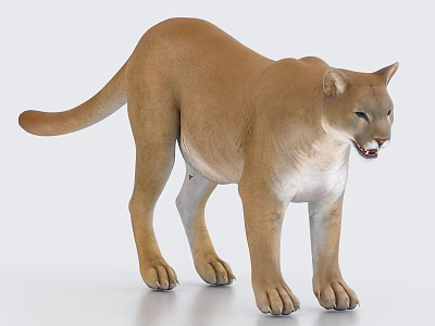 Realistic 3D Puma Model Rendered With Detailed Fur And Standing Pose 3d model