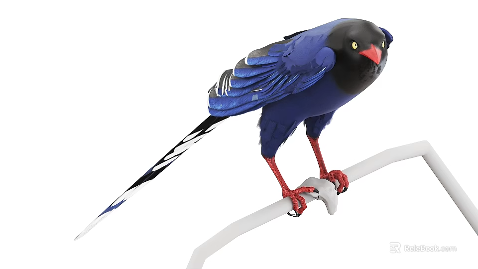 Vibrant Blue Bird with Black Head Red Beak and Claws Perched on White Branch 3d model 