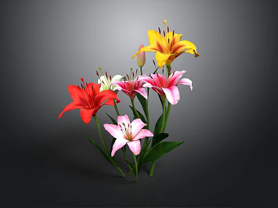 Colorful Lily Bouquet Featuring Red Pink Yellow White Lilies With Green Leaves Against Dark Background 3d model
