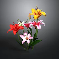 Colorful Lily Bouquet Featuring Red Pink Yellow White Lilies With Green Leaves Against Dark Background