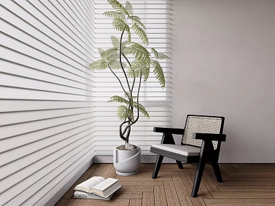 White Blinds Interior Scene With Green Fern Plant Wooden Floor And Woven Chair 3d model