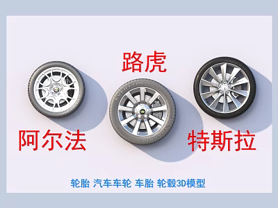 Realistic Car Tires with Land Rover Alfa Romeo Tesla Alloy Wheel 3d model