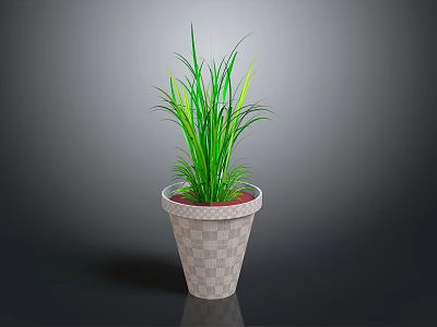 Decorative Green Potted Plant With Long Leaves In Checkered Pattern Pot 3d model