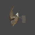 Flying Wooden Bird Sculpture With White Tail And Spread Wings On Gray Background