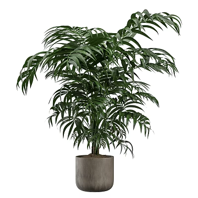 Lush Green Potted Plant With Abundant Leaves In Gray Modern Pot For Indoor Decoration 3d model