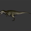 Realistic T-Rex Dinosaur Character Standing With Open Mouth And Sharp Teeth 3d model