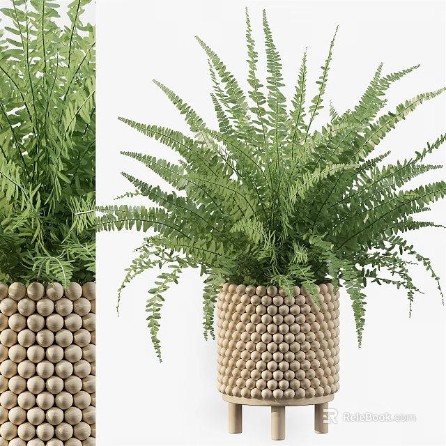 Lush Green Fern Bonsai Potted Plant with Decorative Beaded Pot and Vibrant Fronds 3d model 