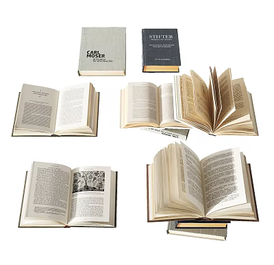 Modern Books 3d model