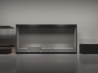 Sleek Modern Display Shelves With Black Frame And Illuminated Glass Panels 3d model