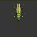grasshopper insect cartoon locust animation locust anime locust anime game character 3d model