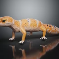 Orange Colored Gecko with Black Spots Standing on Dark Shiny Reflective Surface 3d model