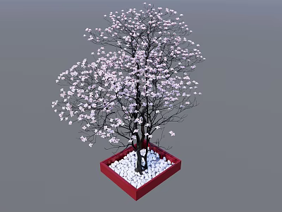 Blooming Tree With White Pink Flowers In Red Square Pot And White Pebbles 3d model