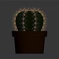 Small Green Round Cactus With Yellow Spines In Brown Ceramic Pot