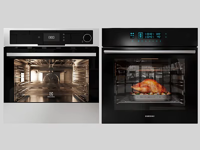 Modern Kitchen Oven Appliances With Roasted Chicken And Empty Interior Design 3d model