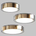 Three Modern Circular Ceiling Lights with Golden Frame and Transparent Shade 3d model