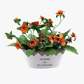 Decorative Potted Plant With Orange Red Flowers Green Leaves And HOME FLOWERS Design