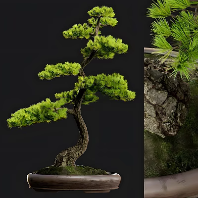 Exquisite Bonsai Tree with Twisted Trunk Lush Green Foliage and Rocky Mossy Base 3d model