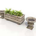 Bonsai Potted Plants with Stone Carved Planters Rectangular and Circular Shapes with Green Ferns
