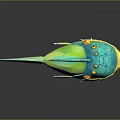 Vibrant Blue Green Yellow Fish With Spotted Body Big Orange Eyes Sharp White Teeth