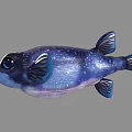 Vibrant Blue Purple Aquatic Pufferfish With White Spots Large Eyes And Dark Fins