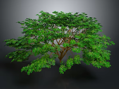 Isolated 3D Tree Model With Green Foliage Lush Canopy And Brown Trunk 3d model