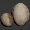 Egg Cartoon Egg with Egg Shell Chick Quail Egg Duck Egg Goose Egg 3d model