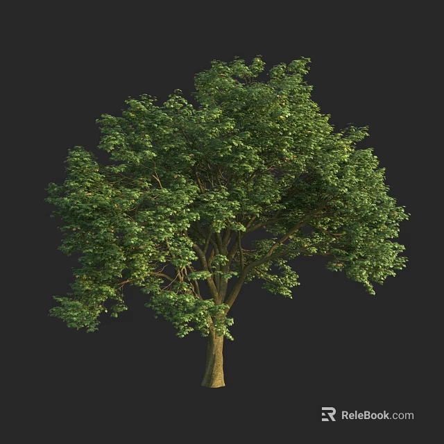 Lush Green Arbor With Dense Foliage And Strong Trunk In Natural Environment 3d model 