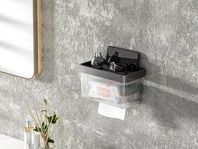 Bathroom Wall Mounted Cabinet Rack With Toothbrush Holder And Toilet Paper 3d model