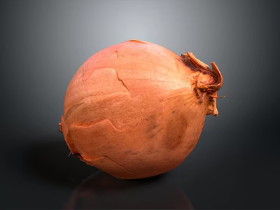Fresh Orange Vegetable Onion Close Up View with Textured Skin on Dark Background 3d model