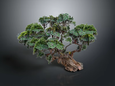 Artistic Bonsai Tree With Green Foliage Twisted Trunk And Detailed Branches 3d model