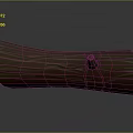 Natural Wooden Log Surface With Detailed Wood Grain And Small Protrusion