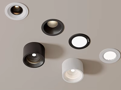 Downlights and Spotlights with Modern Black White Design for Contemporary Home Ceiling Lighting 3d model