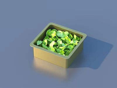 Fresh Green Leafy Vegetables Filled In Square Light Green Container On Light Blue Surface 3d model