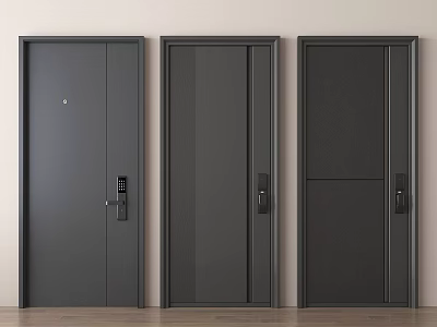 Modern Dark Security Doors With Three Panel Styles And Metal Finish Locks 3d model