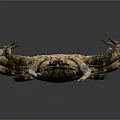 Detailed Aquatic Animal Crab With Dark Textured Shell And Extended Legs