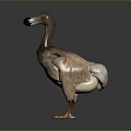 Dodo Bird With Brown Feathers Yellow Feet Black Beak Plump Body And Short Wings