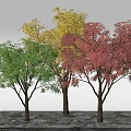 Colorful Arbor Trees With Green Yellow Red Leaves Standing On Ground