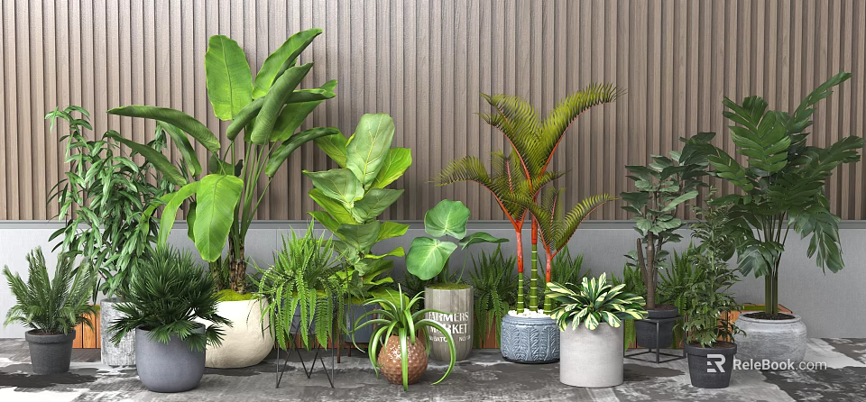 Various Indoor Potted Plants With Decorative Pots Against Vertical Wooden Panel Wall 3d model 