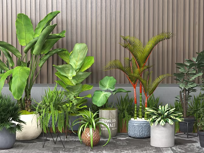 Various Indoor Potted Plants With Decorative Pots Against Vertical Wooden Panel Wall 3d model