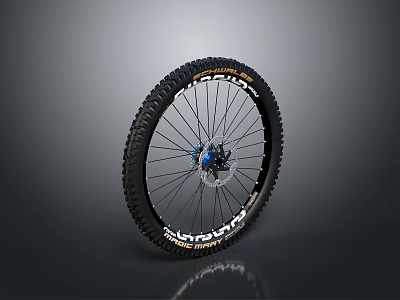 Mountain Bike Wheel with Treaded Tire Spokes and Blue Hub Design 3d model
