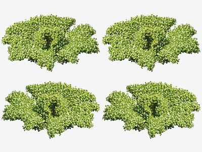 Lush Green Floral Bushes With Dense Foliage For Garden Landscaping 3d model